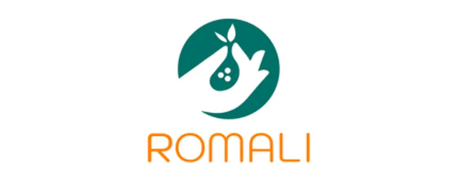 Romali Implementacion Iso 9001